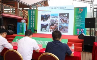 山羊黑科技 广东清远市连山县：“三地活化”改革催动黑山羊产业升级