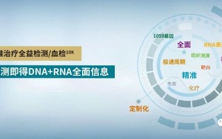 日码科技 元码基因取得用于突变位点自动化审核方法及装置专利