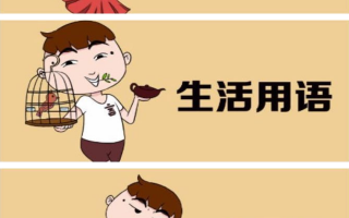 学温州话软件下载 温州像功能强大的操作系统，各种宗教成为功能不同的APP（下）