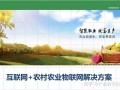 东莞市浩阳科技 陶祥详解互联网下的农产品交易信息平台
