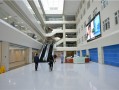 南方科技大学医院体检中心 南方医院上线AI智能总检大模型，让体检报告更快更准