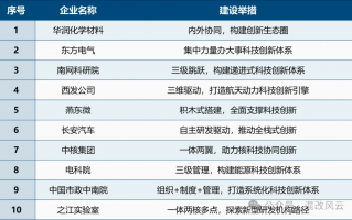 国企科技委 以全球视野观国企科技创新:经验,挑战及应对策略 国企科技委 以全球视野观国企科技创新:经验,挑战及应对策略