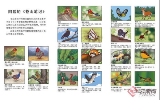 生物科技绘图 36种生物图谱！大理大学师生团队创作的漫画《苍山觅灵踪》火了